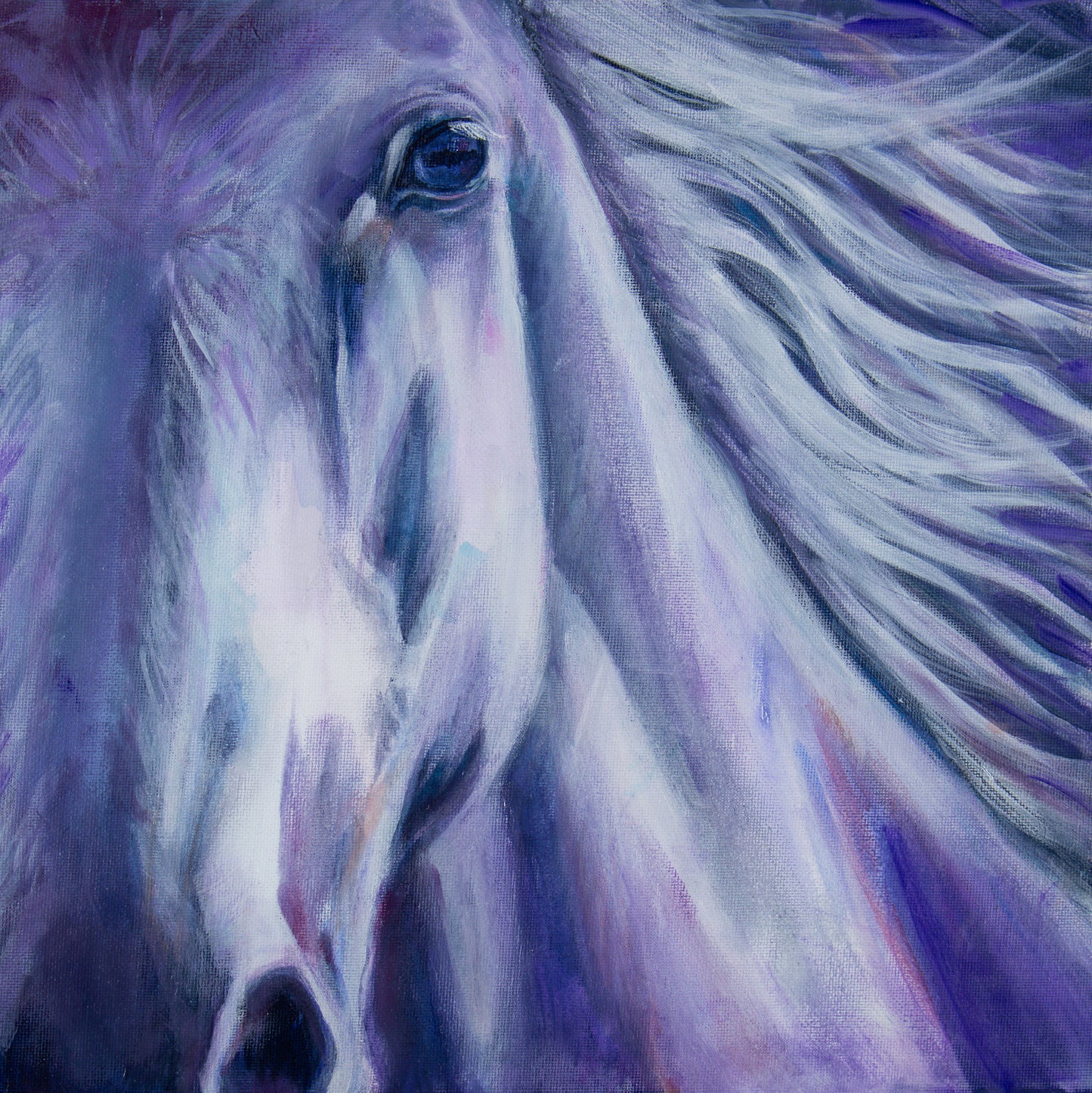 White Horse 2